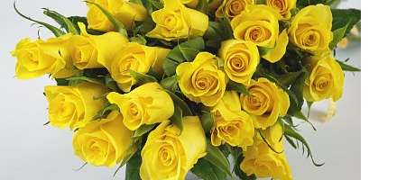 yellow roses with pink tips meaning