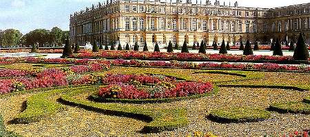 Flowers from France